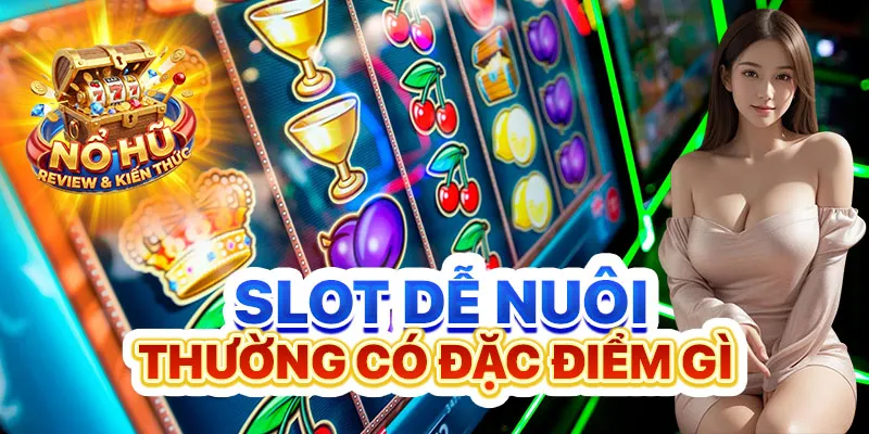 Slot dễ nuôi