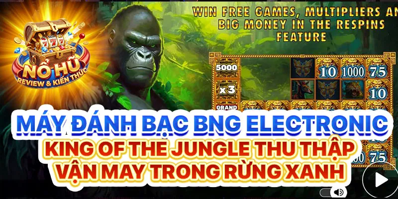 BNG Electronic